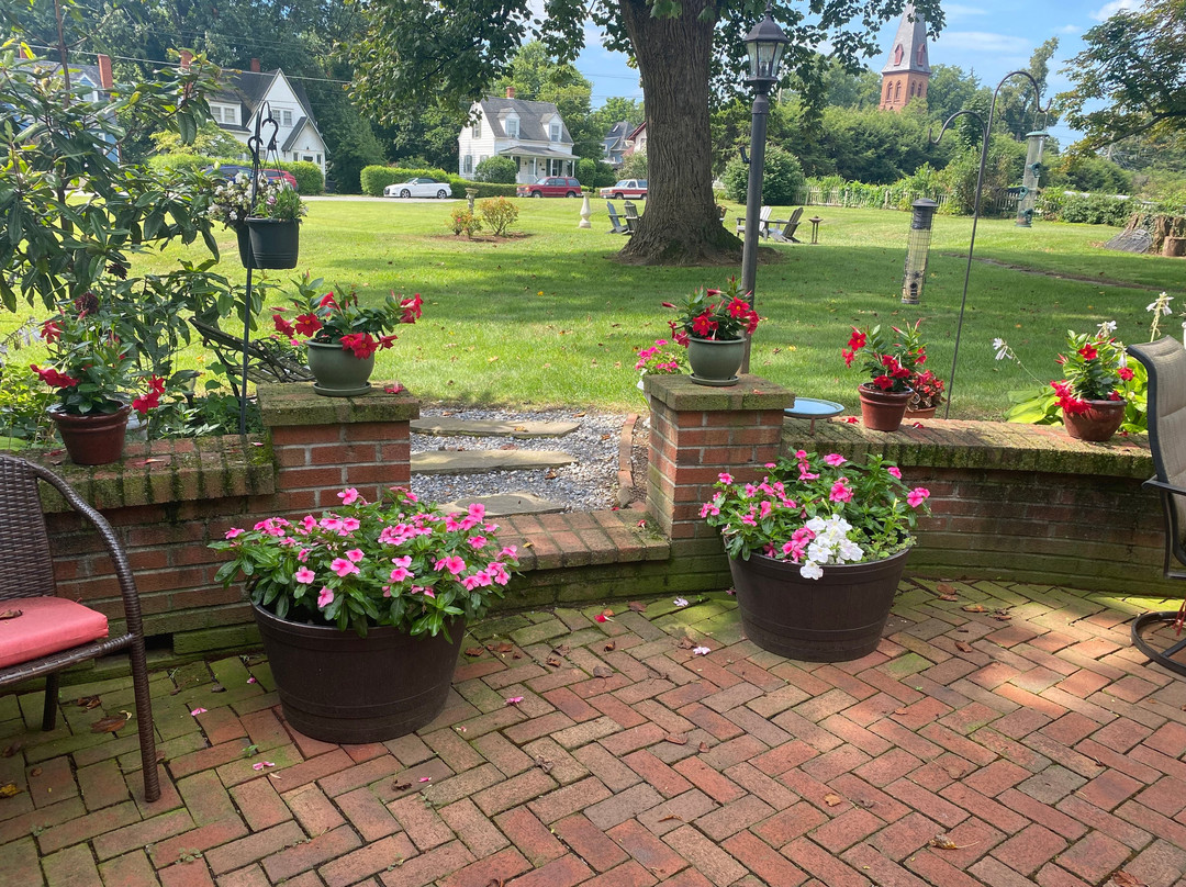 Carriage Inn Bed and Breakfast主图