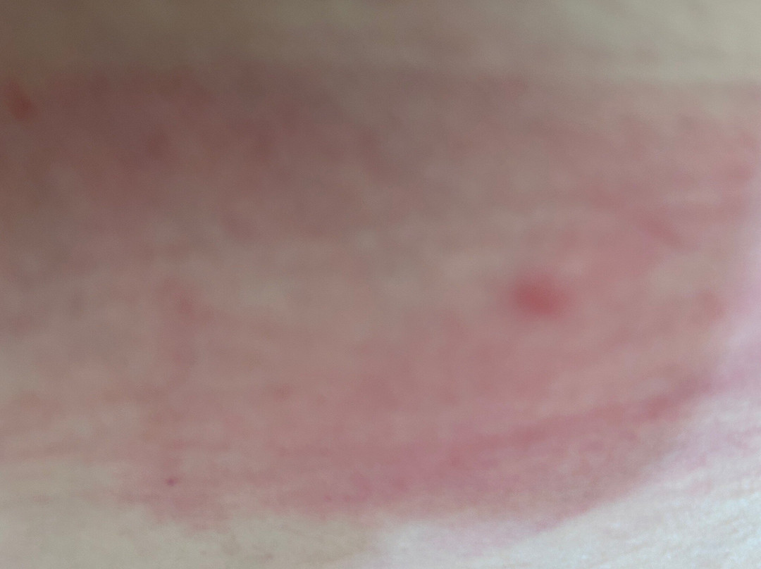 Best Western Statesville Inn主图