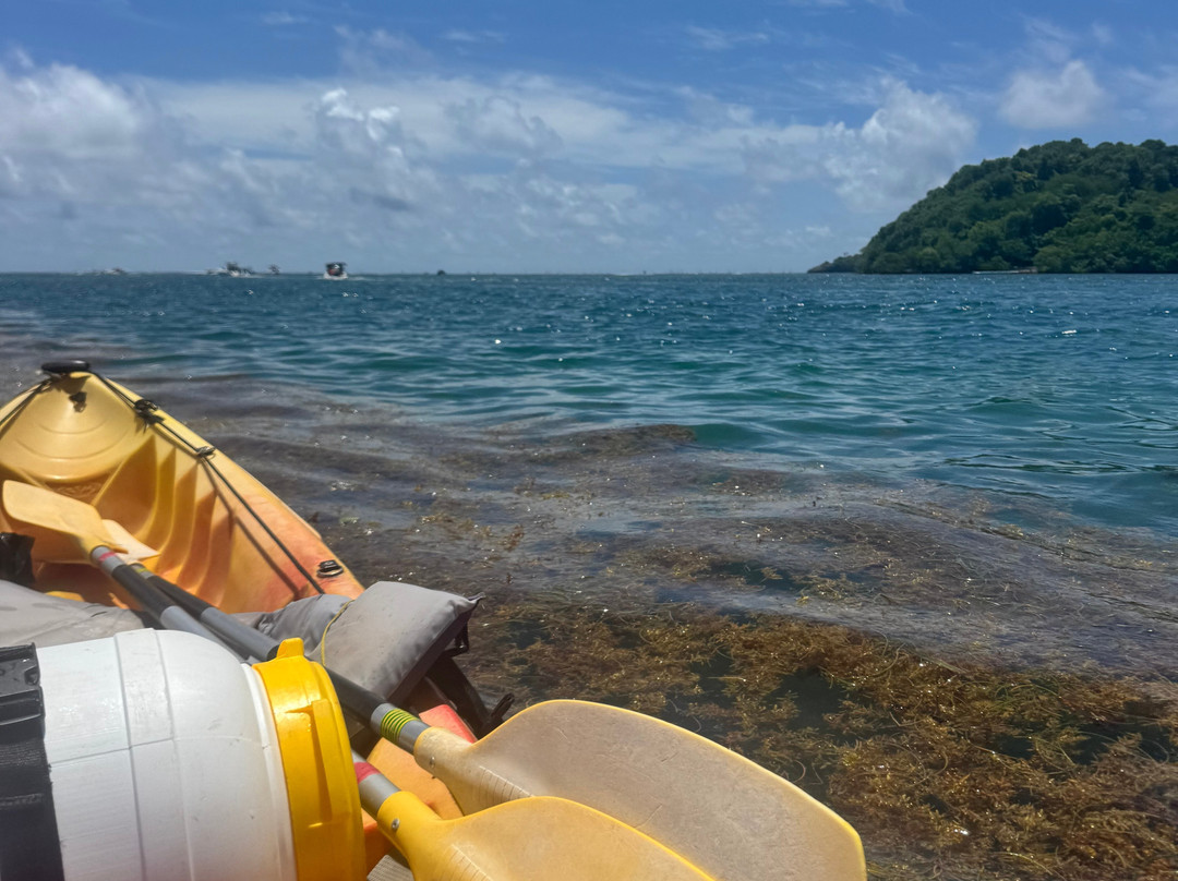 Madinina Kayaks-Le Robert必去景点