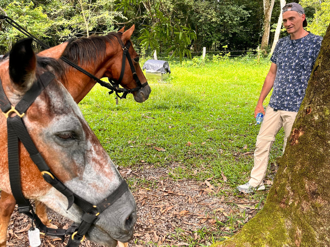 Franklin's Horseback Riding-波魁特必去景点