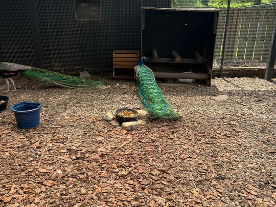 Nova Wild-维也纳必去景点