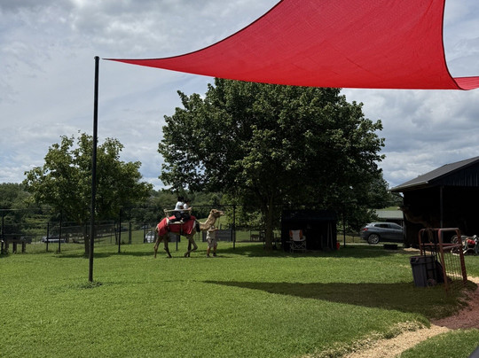 Nova Wild-维也纳必去景点