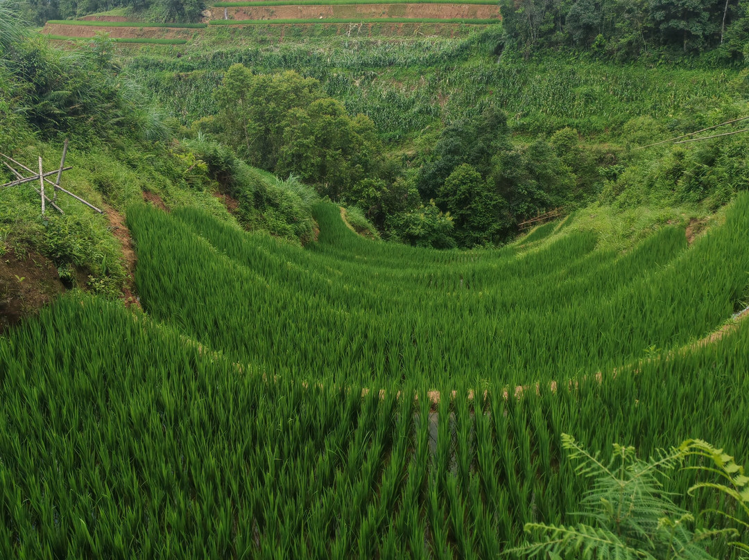 Indigenous Adventure-Mu Cang Chai必去景点