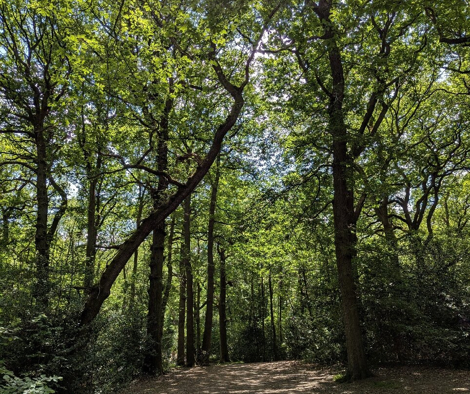 布拉德盖特公园-Newtown Linford必去景点