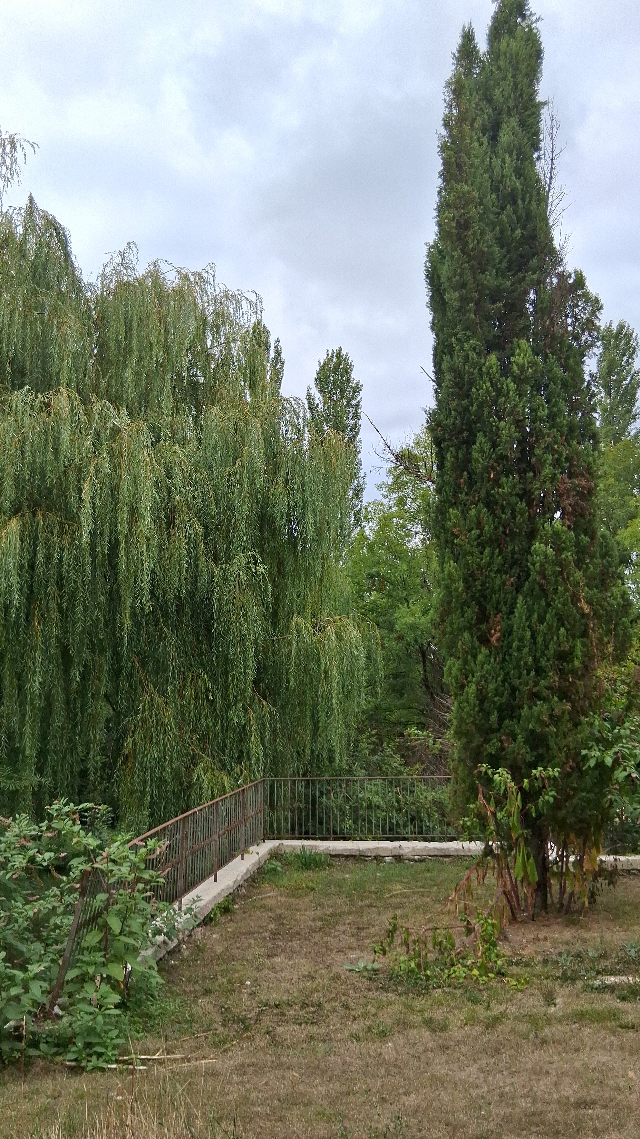 木林拉比克酒店-官方