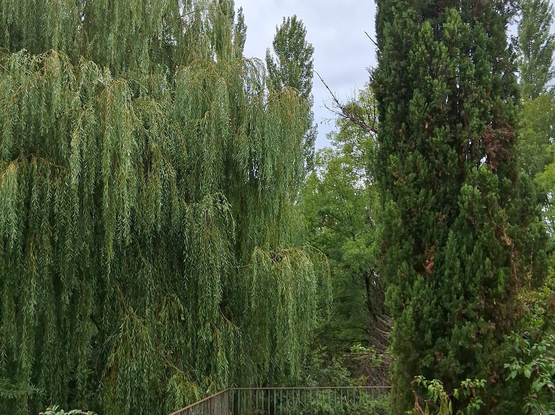 木林拉比克酒店主图