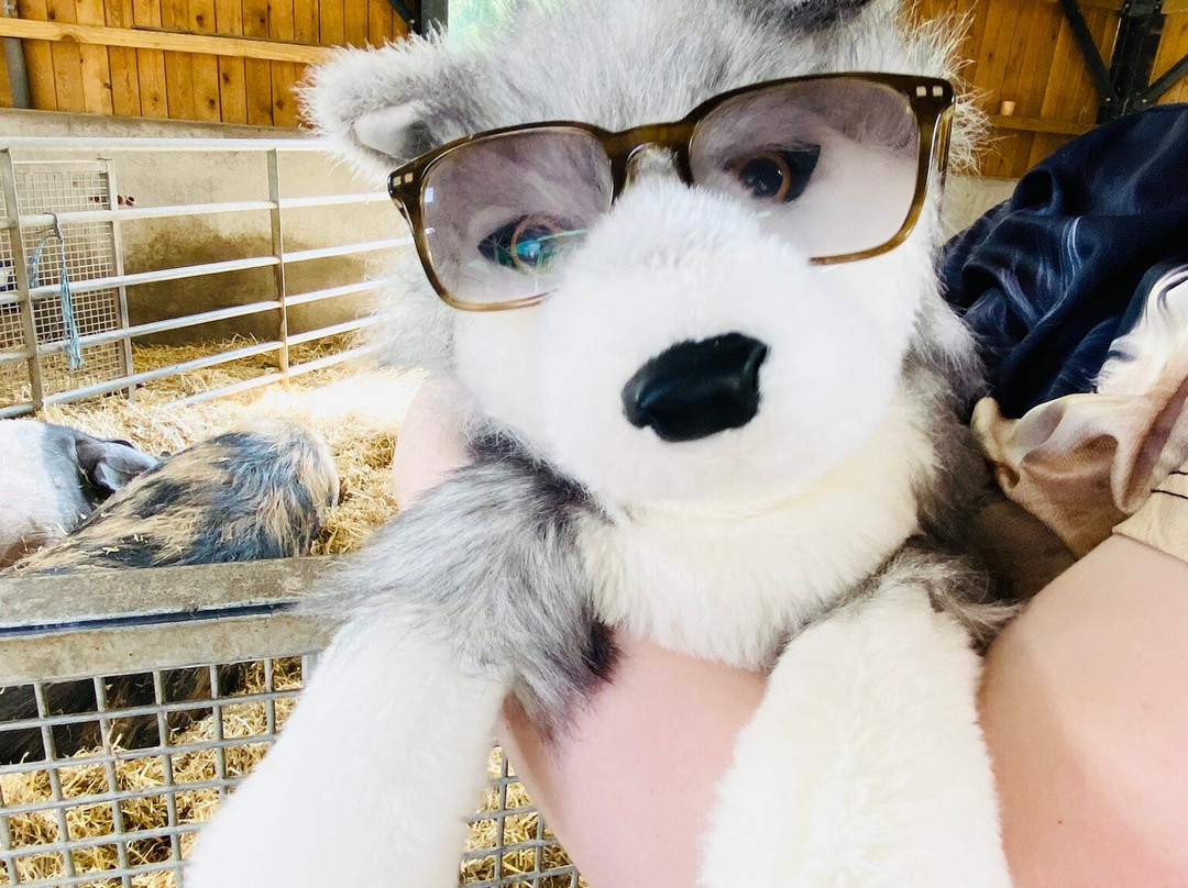 Ouseburn Farm-纽卡斯尔必去景点