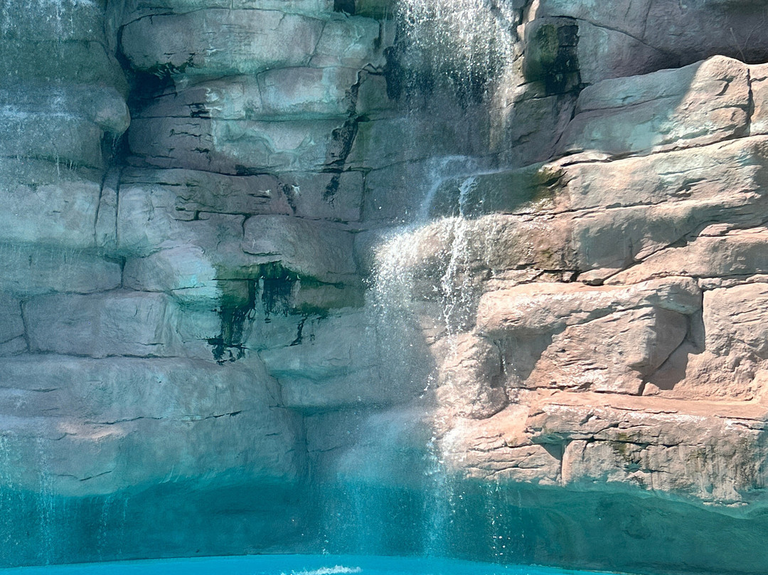 Orka World Waterpark-Ovacik必去景点