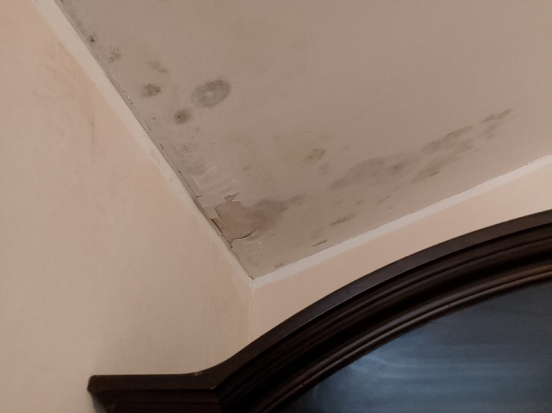 Hotel Al Palazzetto Set Fair主图