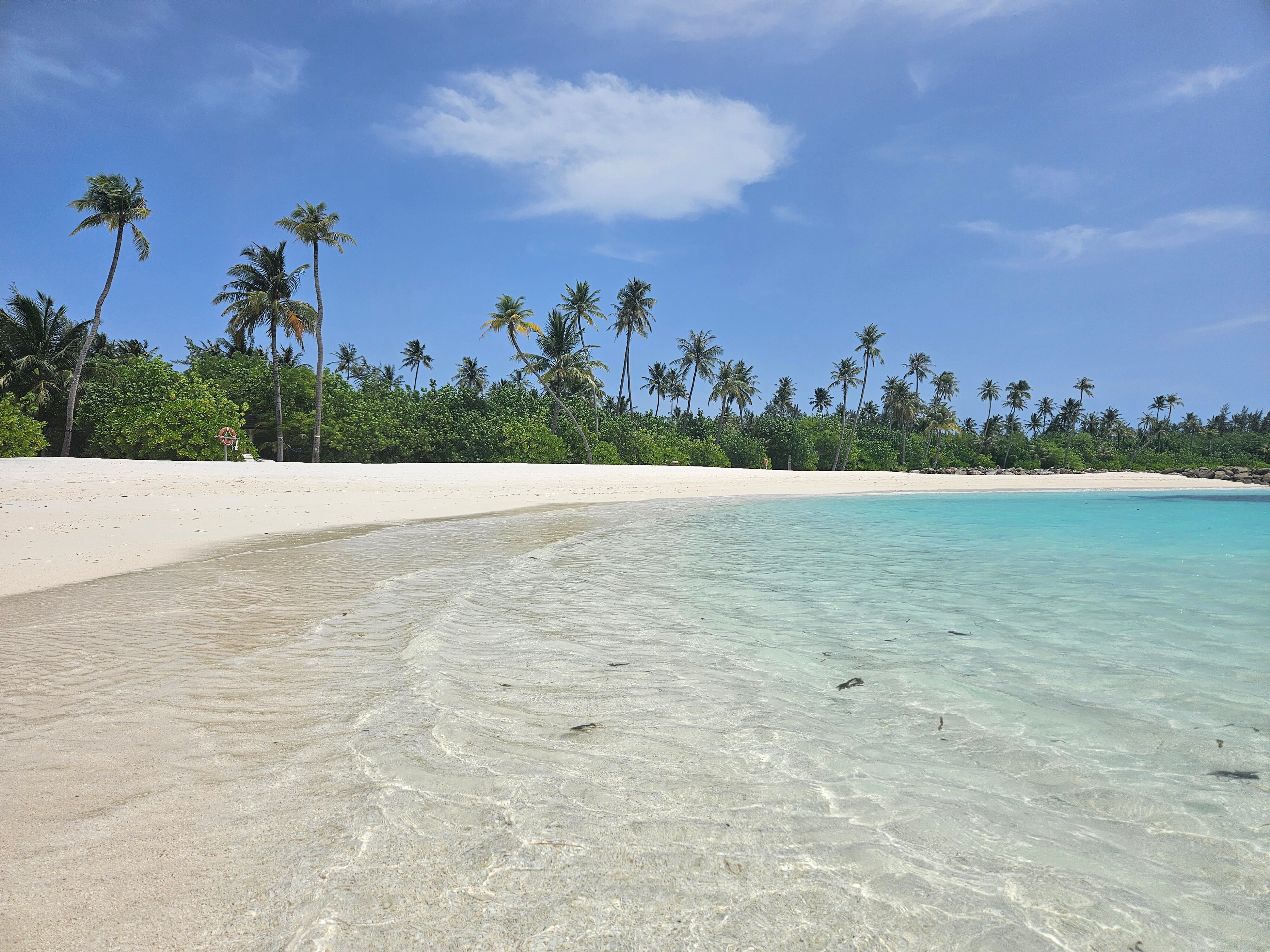 TUI BLUE Olhuveli Romance-泳池