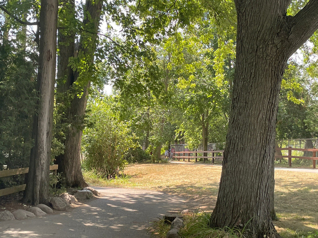 Riverview Park & Zoo-彼得伯勒必去景点