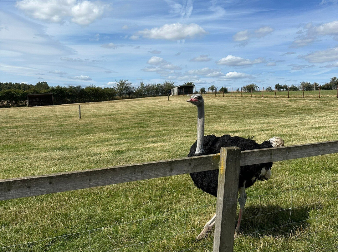 Mainsgill Farm-East Layton必去景点