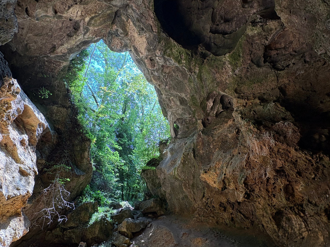 Réserve Naturelle De Furfooz-迪南必去景点