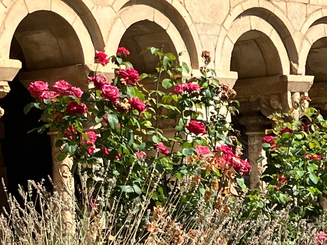 Musee Terrus-Elne必去景点