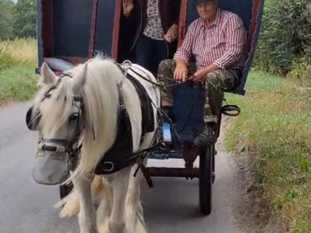 White Horse Gypsy Caravans-马尔堡必去景点
