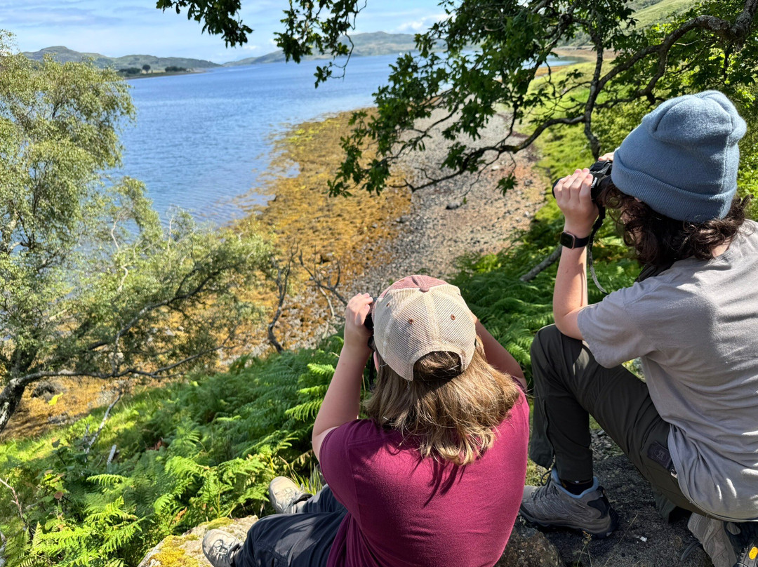 Mull Magic Wildlife - Day Tours-Tobermory必去景点