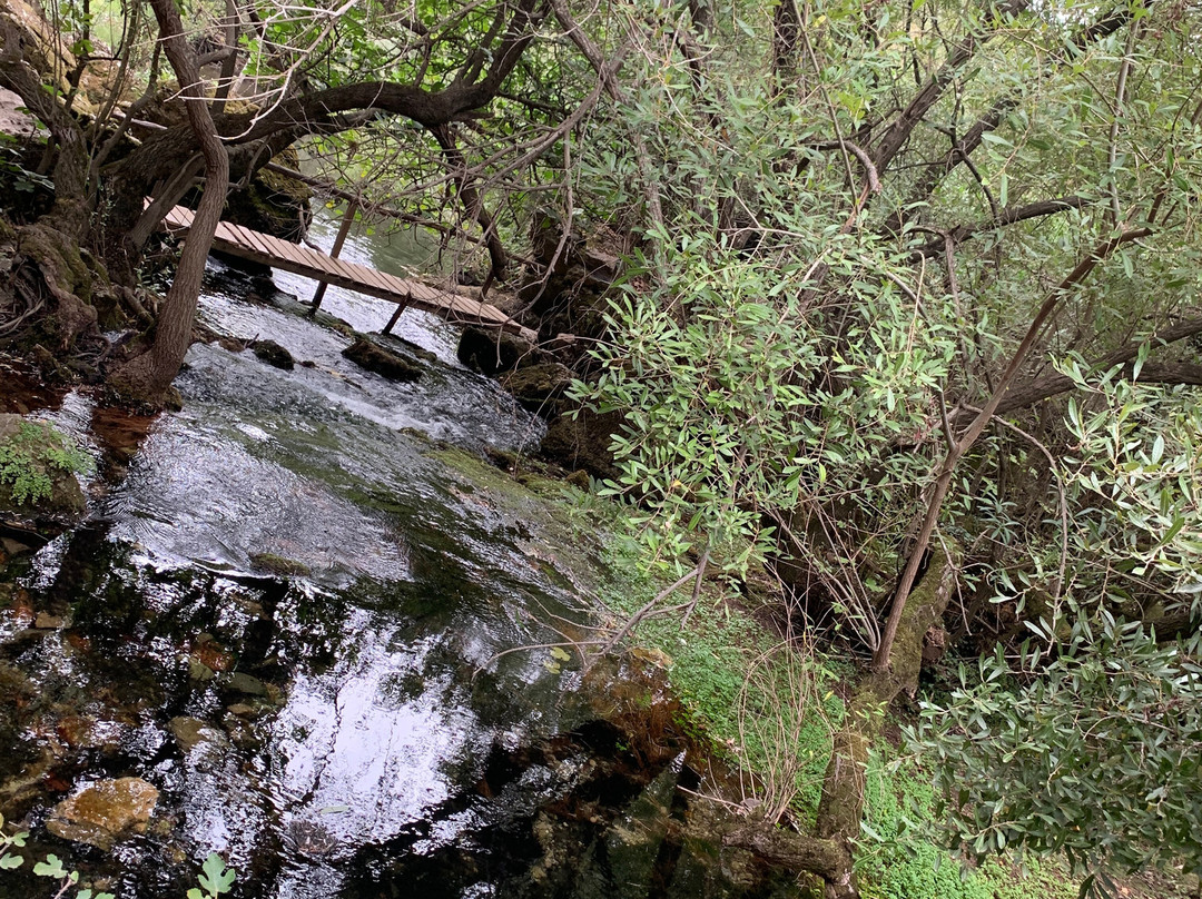 Sorgenti Su Gologone-Oliena必去景点