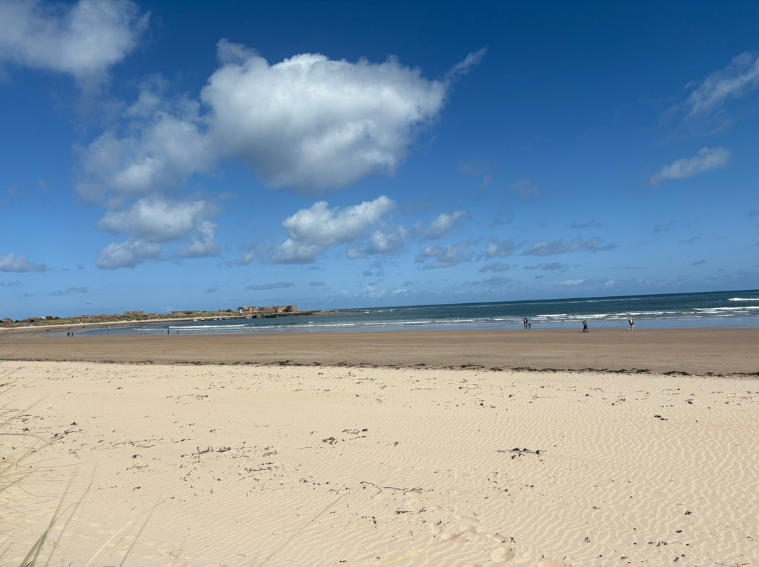 Beadnell Bay Beach-Beadnell必去景点