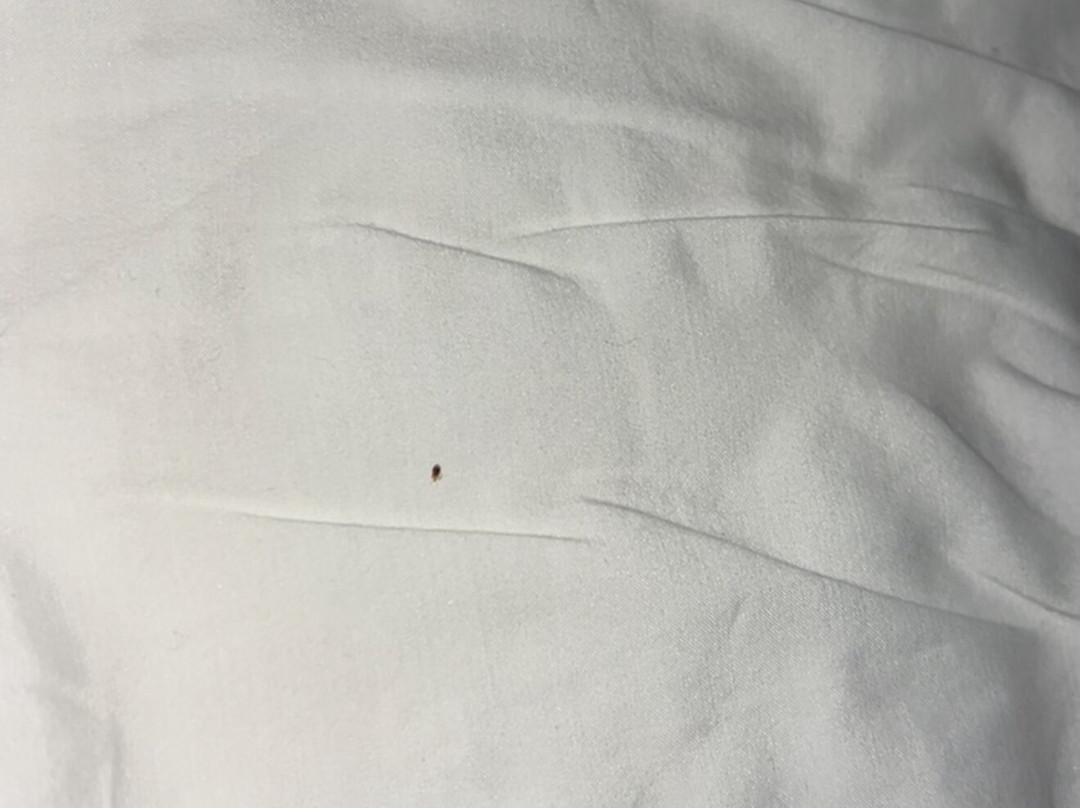 Roosevelt Grand Dakota, SureStay Collection By Best Western主图