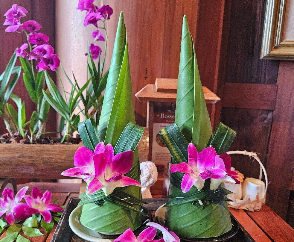 Ayurvana Spa-帕岸岛必去景点