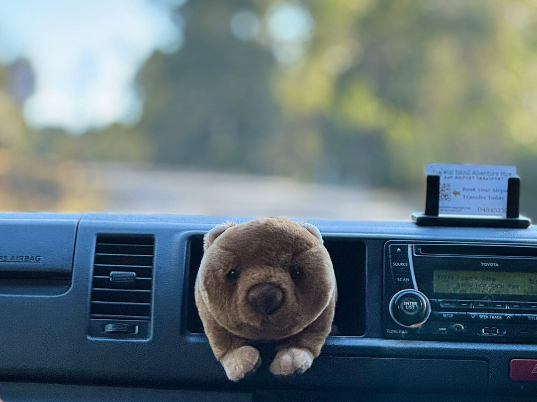 Wild Island Adventure Hire-朗塞斯顿必去景点