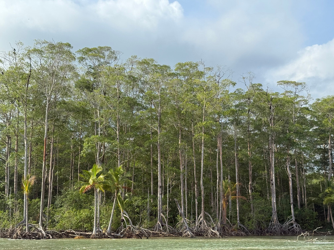 Pineapple Tours-主日镇必去景点