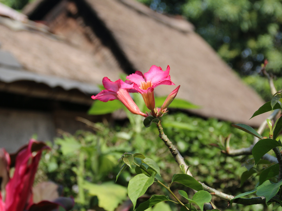 Bali Car Services-库塔必去景点