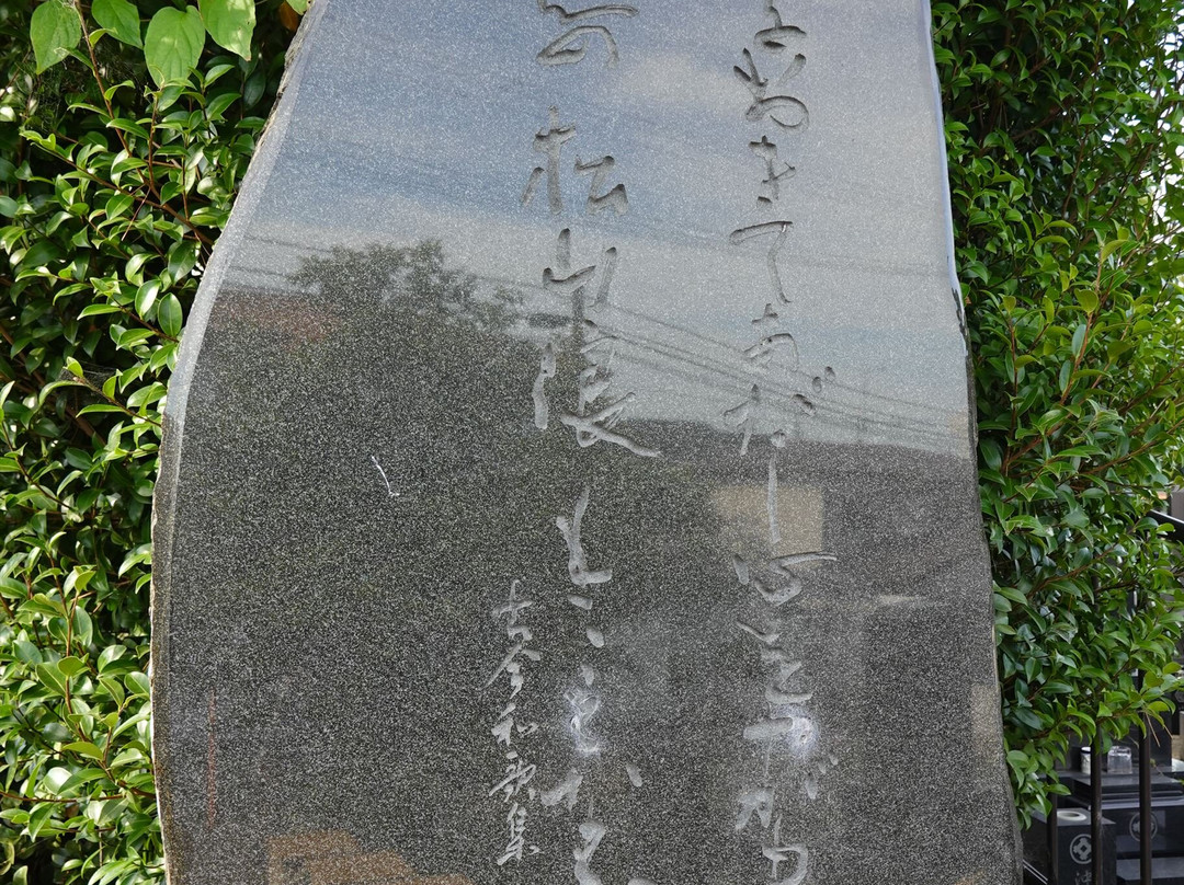 Suenomatsuyama-多贺城市必去景点