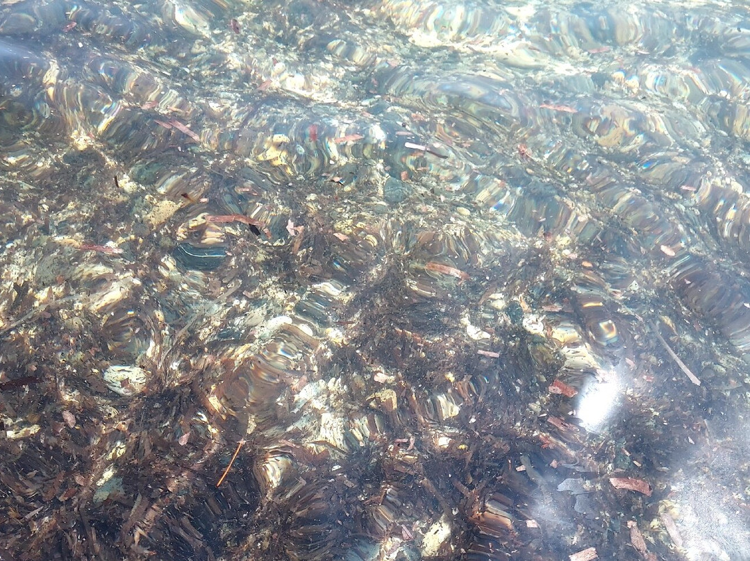 Spiaggia di Nora-普拉必去景点