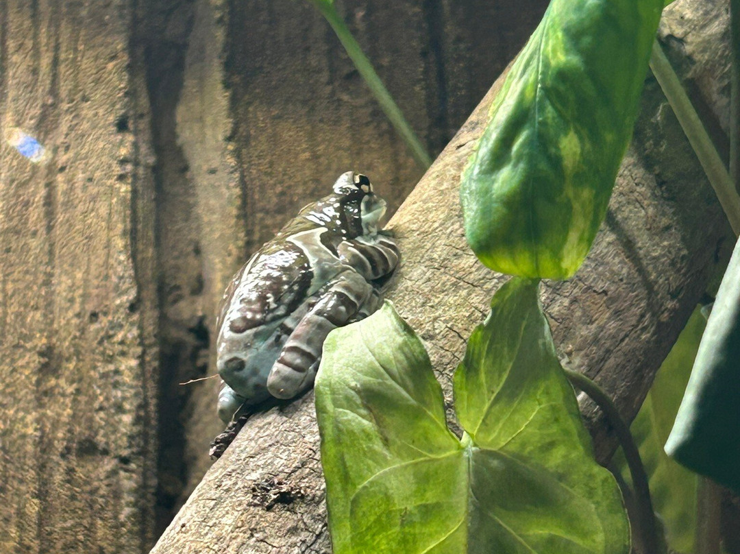 Legasea Aquarium & The Reptarium-Utica必去景点
