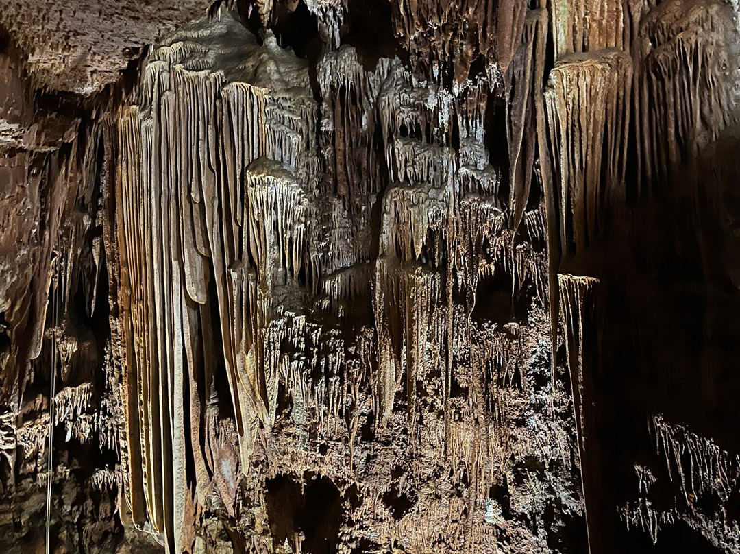Jama - Grotta Baredine-波雷奇必去景点