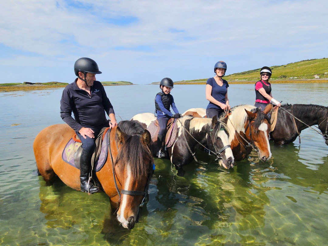 Carrowholly Stables & Trekking Centre-韦斯特波特必去景点