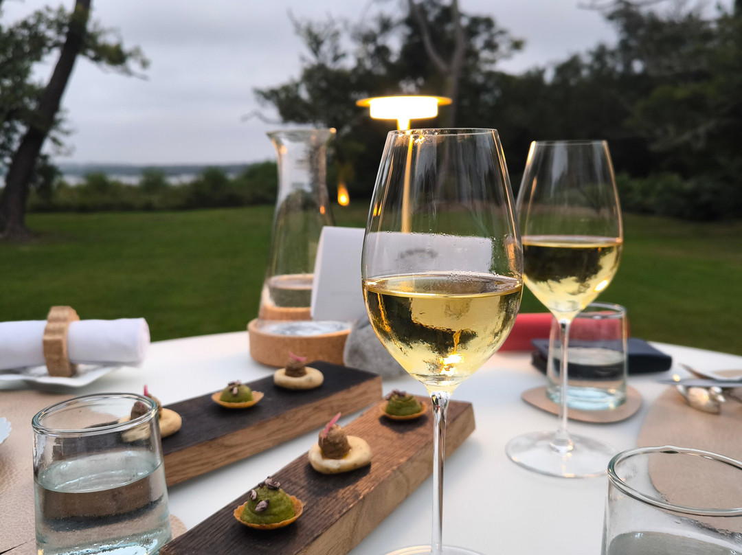 Villa Etang Blanc主图