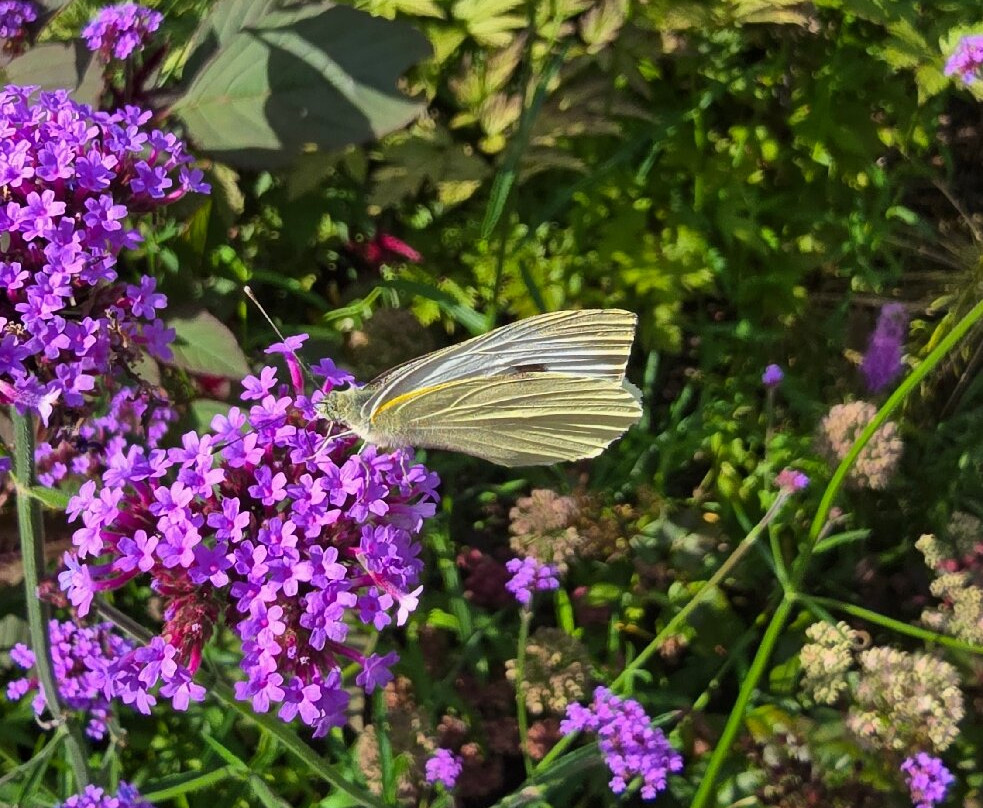 De Luie Tuinman-Ruinen必去景点