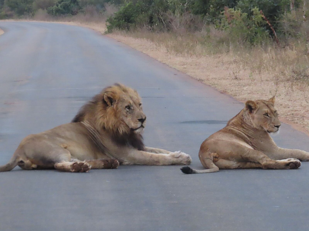 Boyang Gape Tours and Travel - Day Tours-弗维斯必去景点