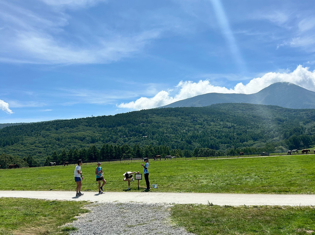 Ikenotaira Shirakaba Kogen Hotel主图