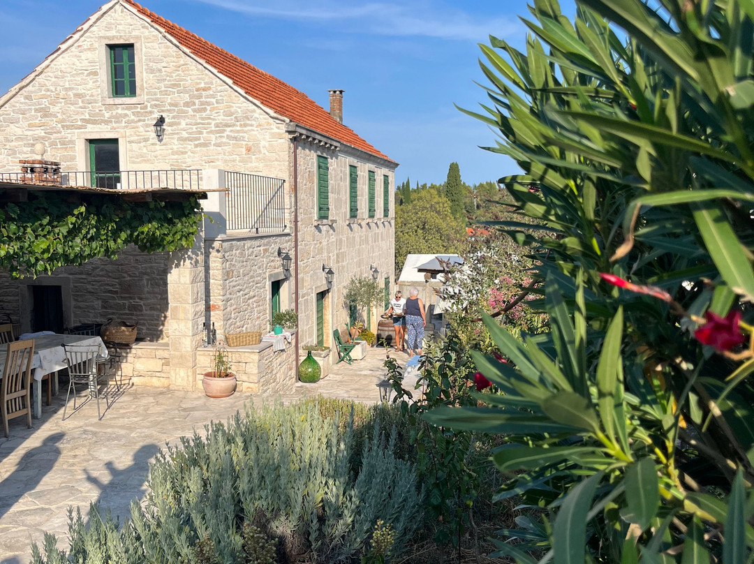 Tasovac winery-Zrnovo必去景点