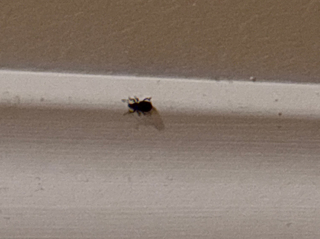 海景画海岸隐居酒店主图