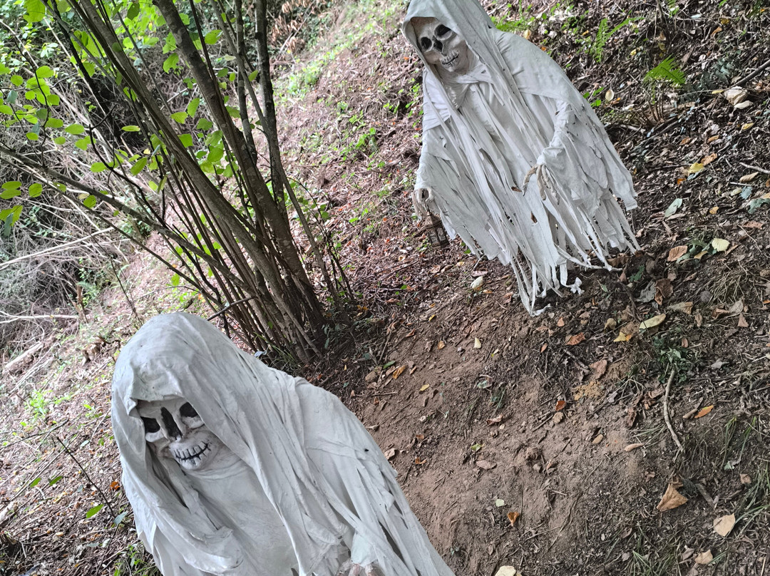 Laberinto De Breogán-Vilarmaior必去景点