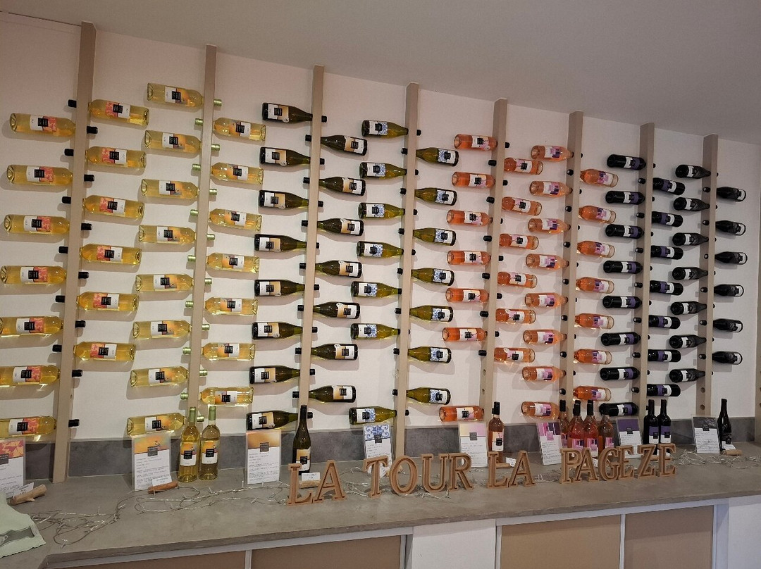 Domaine La Tour Pageze主图