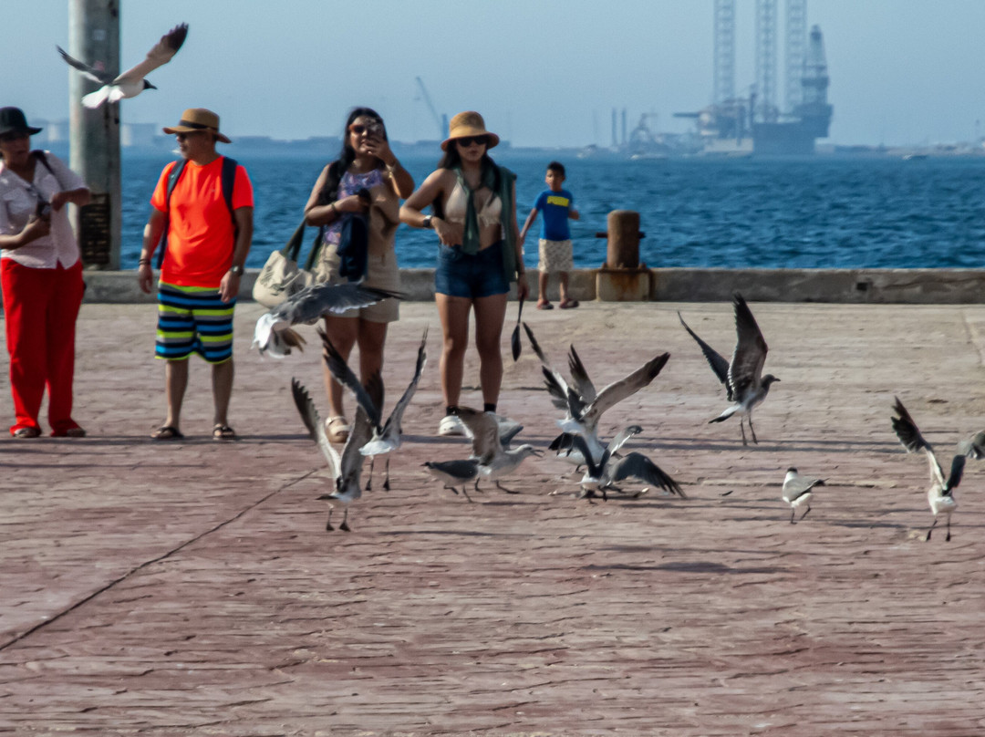 Terminal De Cruceros De Progreso-Progreso必去景点