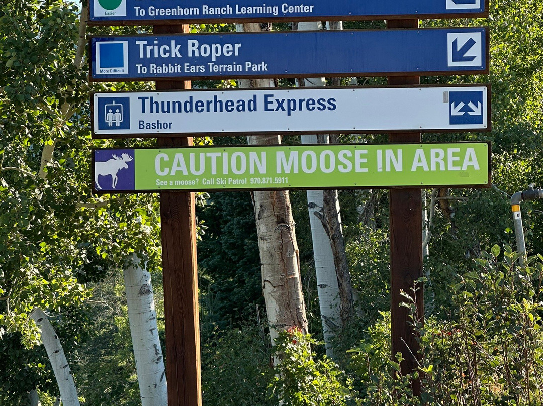 Thunderhead Hiking Trail-斯廷博特斯普林斯必去景点