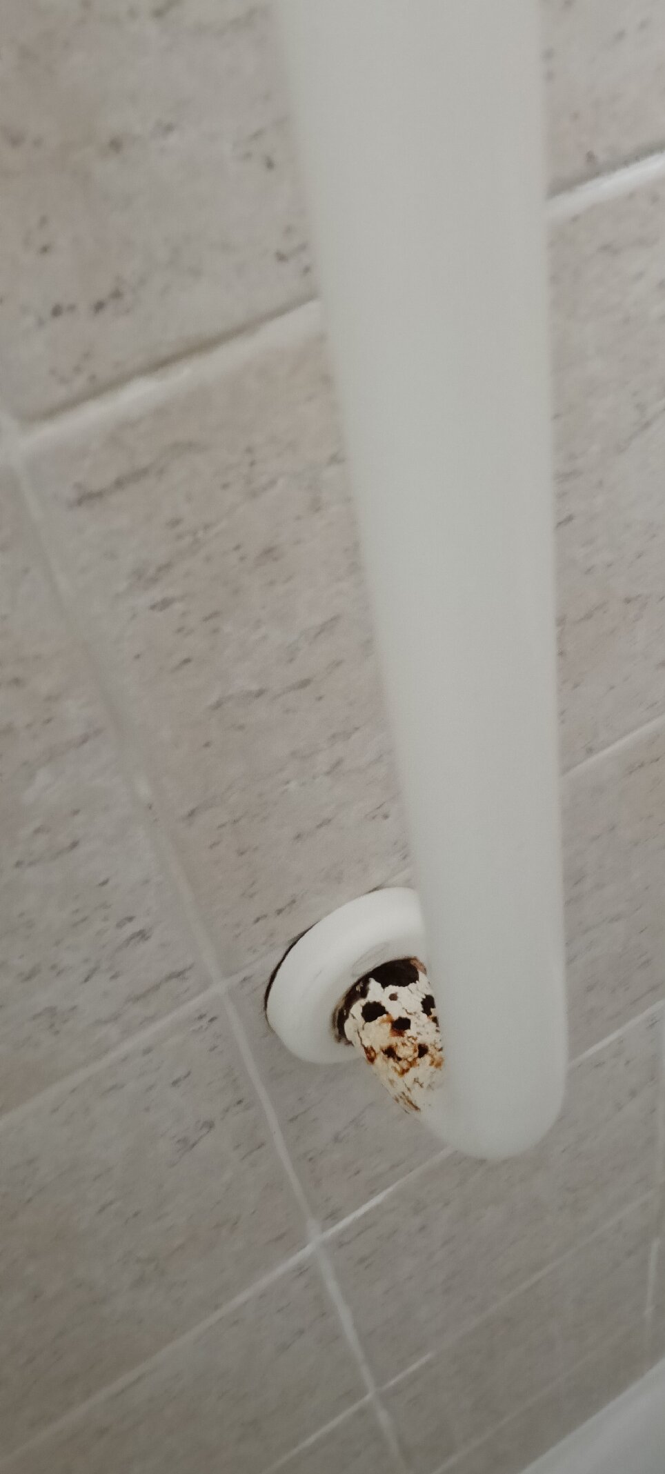 帕拉索布鲁那蒙堤酒店-官方