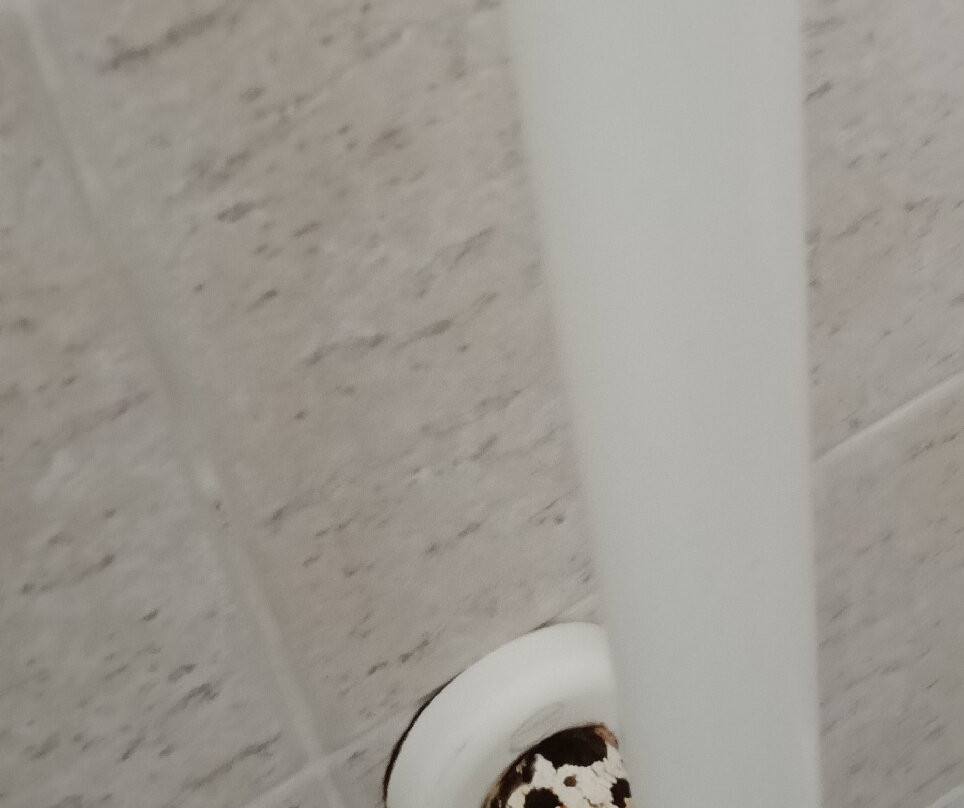 帕拉索布鲁那蒙堤酒店主图