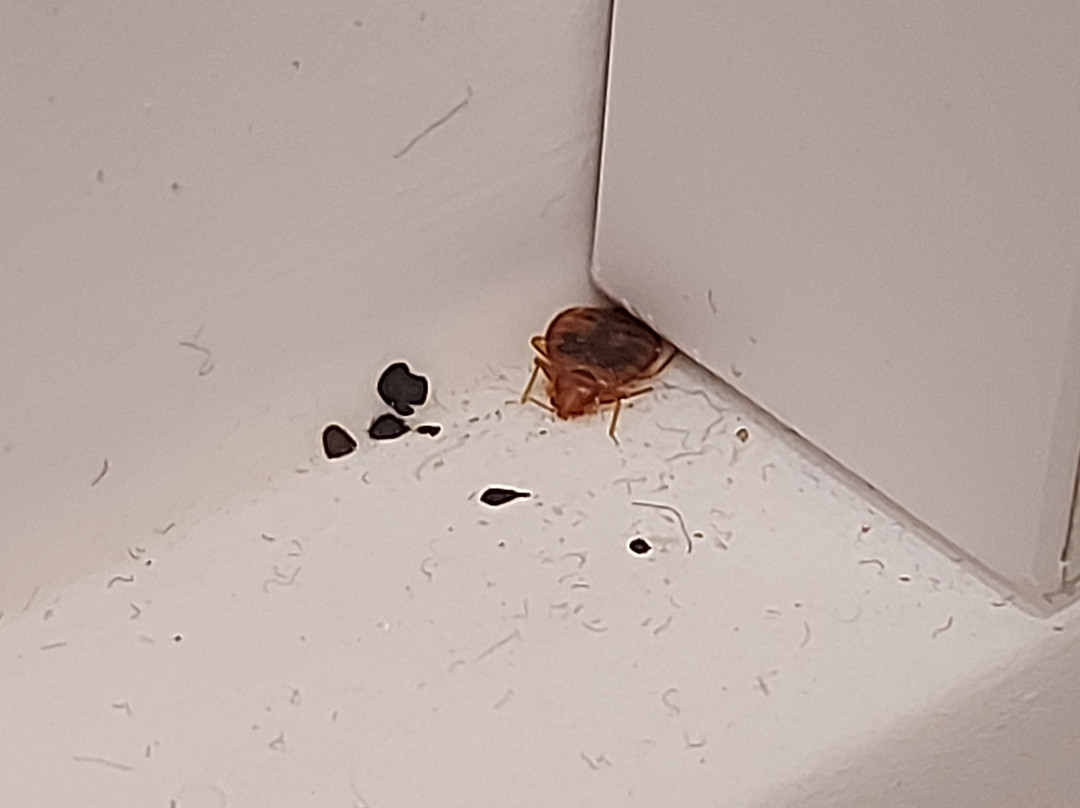 沙雷维茨设计及水疗酒店主图