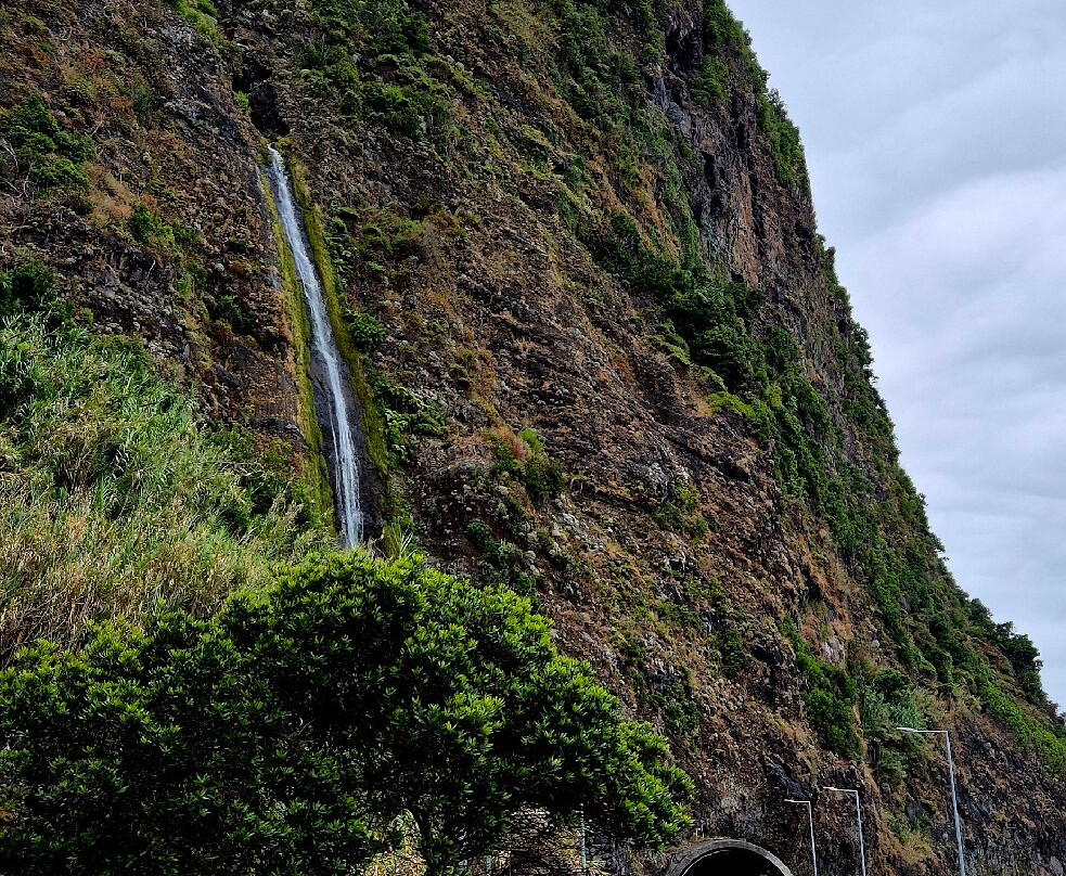 ViveMadeira-马德拉群岛必去景点
