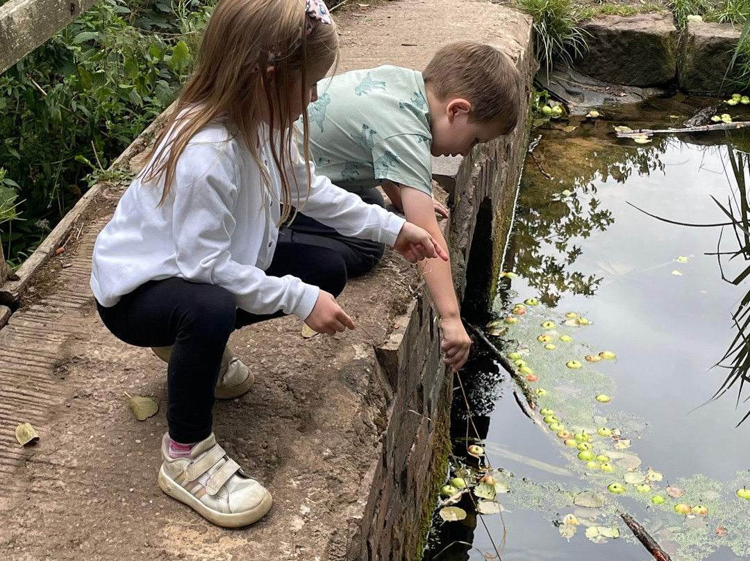 Severn Valley Country Park-Alveley必去景点