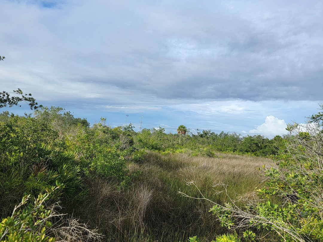 Tippecanoe Environmental Park-夏洛特港必去景点