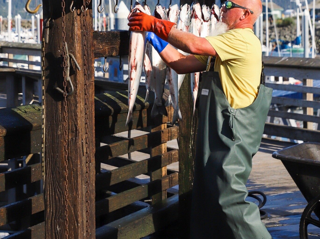The Fish House, Fishing Charters-苏厄德必去景点