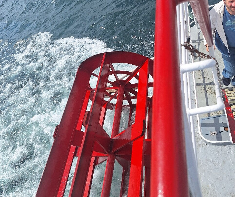 Uncle Sam Boat Tours-亚历山德里亚贝必去景点